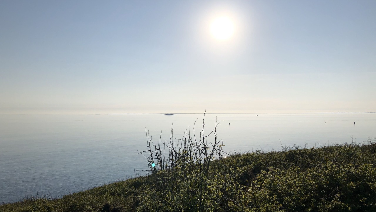 Photo of Others in Arzon