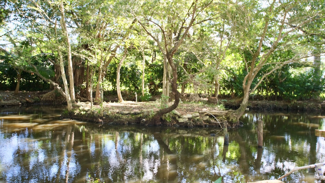 Photo of Outdoor in Southwest Ranches