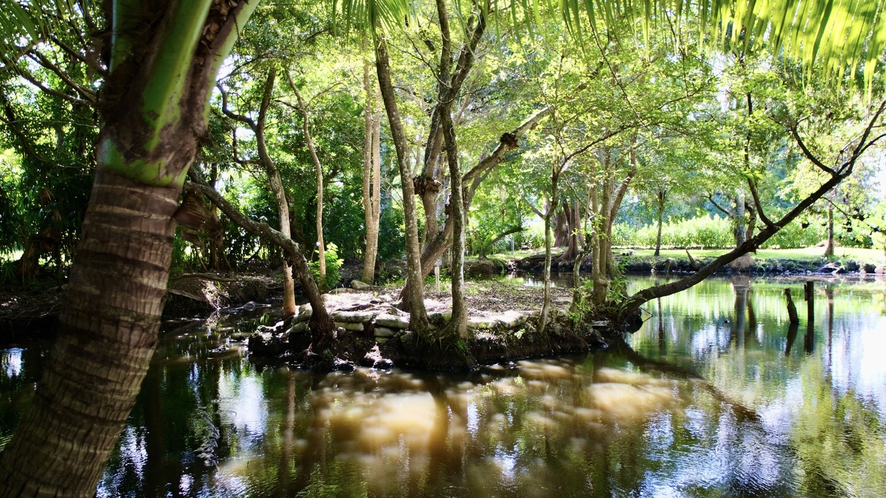 Photo of Outdoor in Southwest Ranches