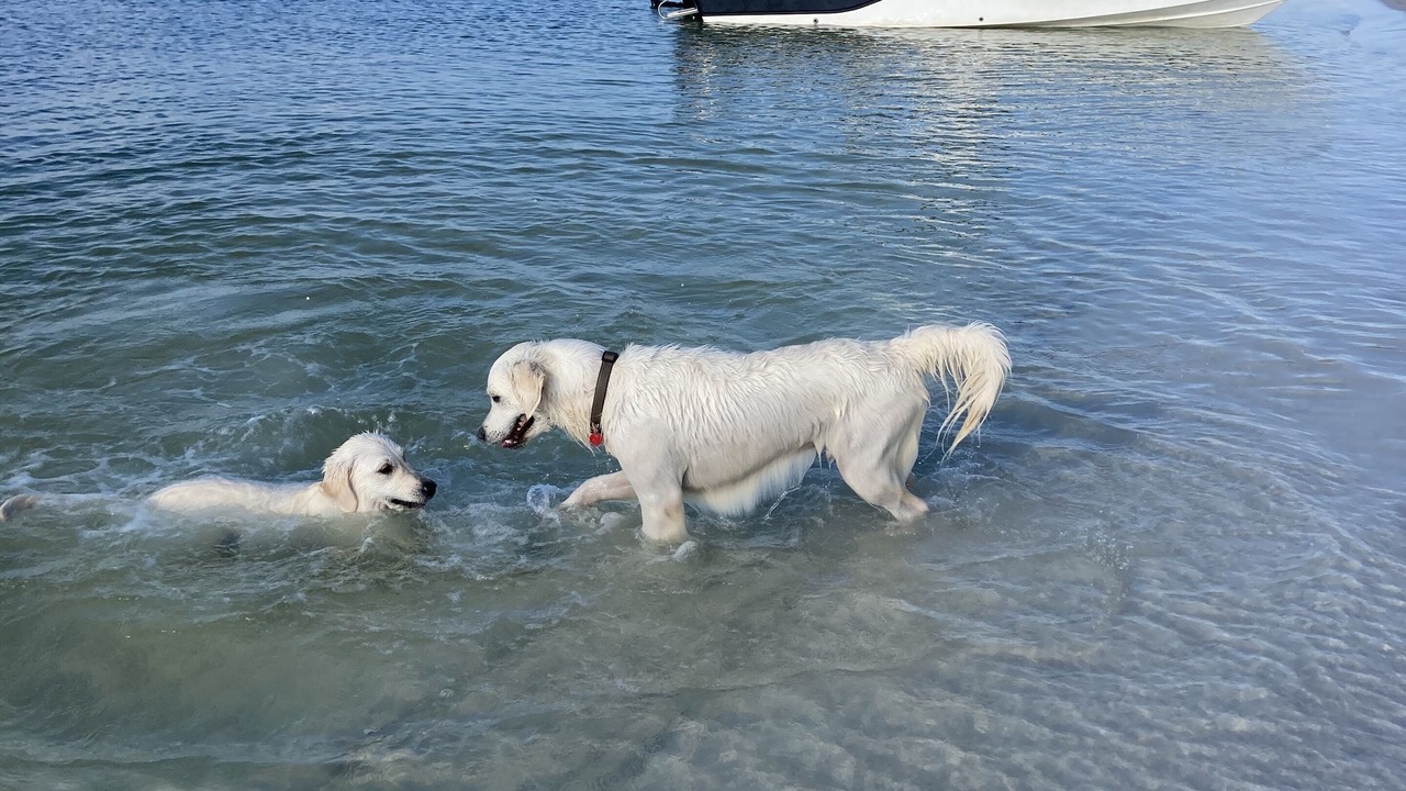 Photo of Others in Port St. Joe