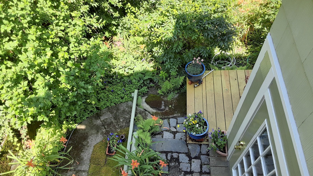 Photo of Outdoor in Jones Hill