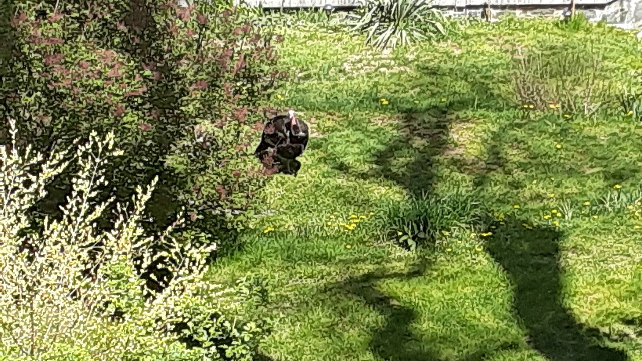 Photo of Others in Jones Hill