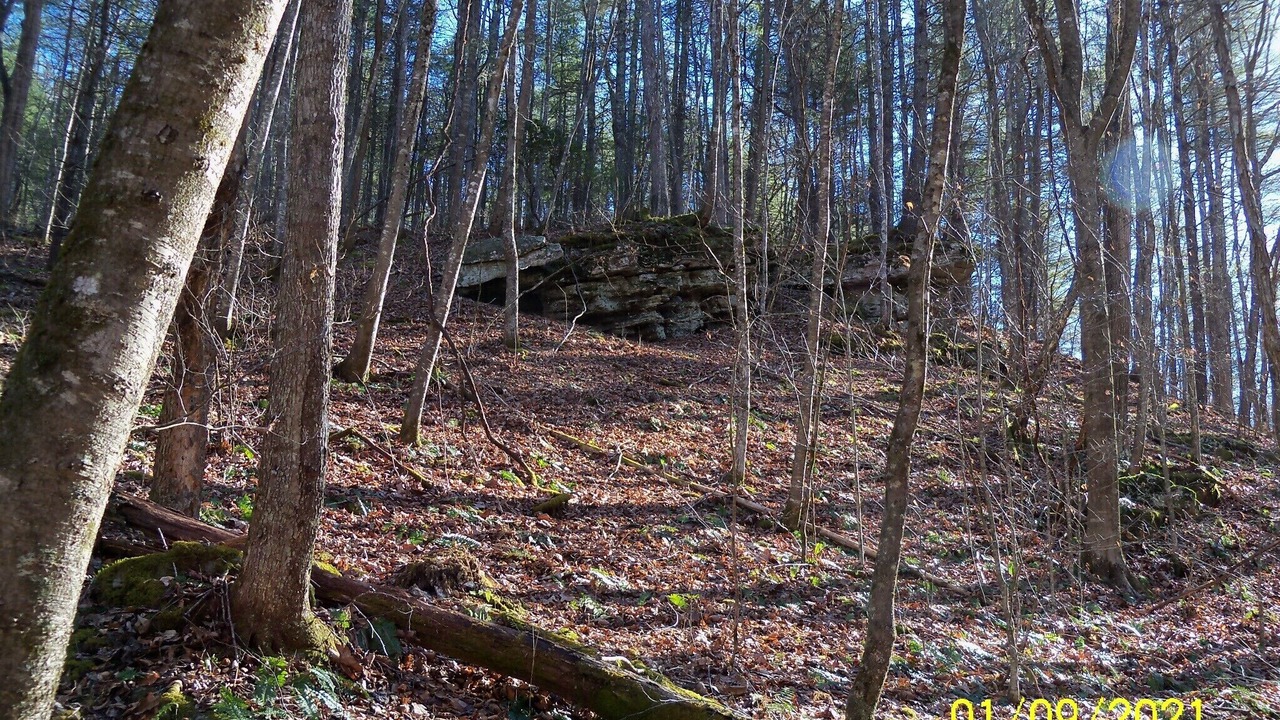 Photo of Outdoor in Warm Springs