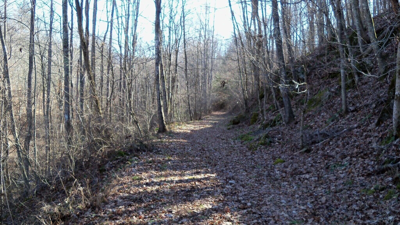 Photo of Outdoor in Warm Springs
