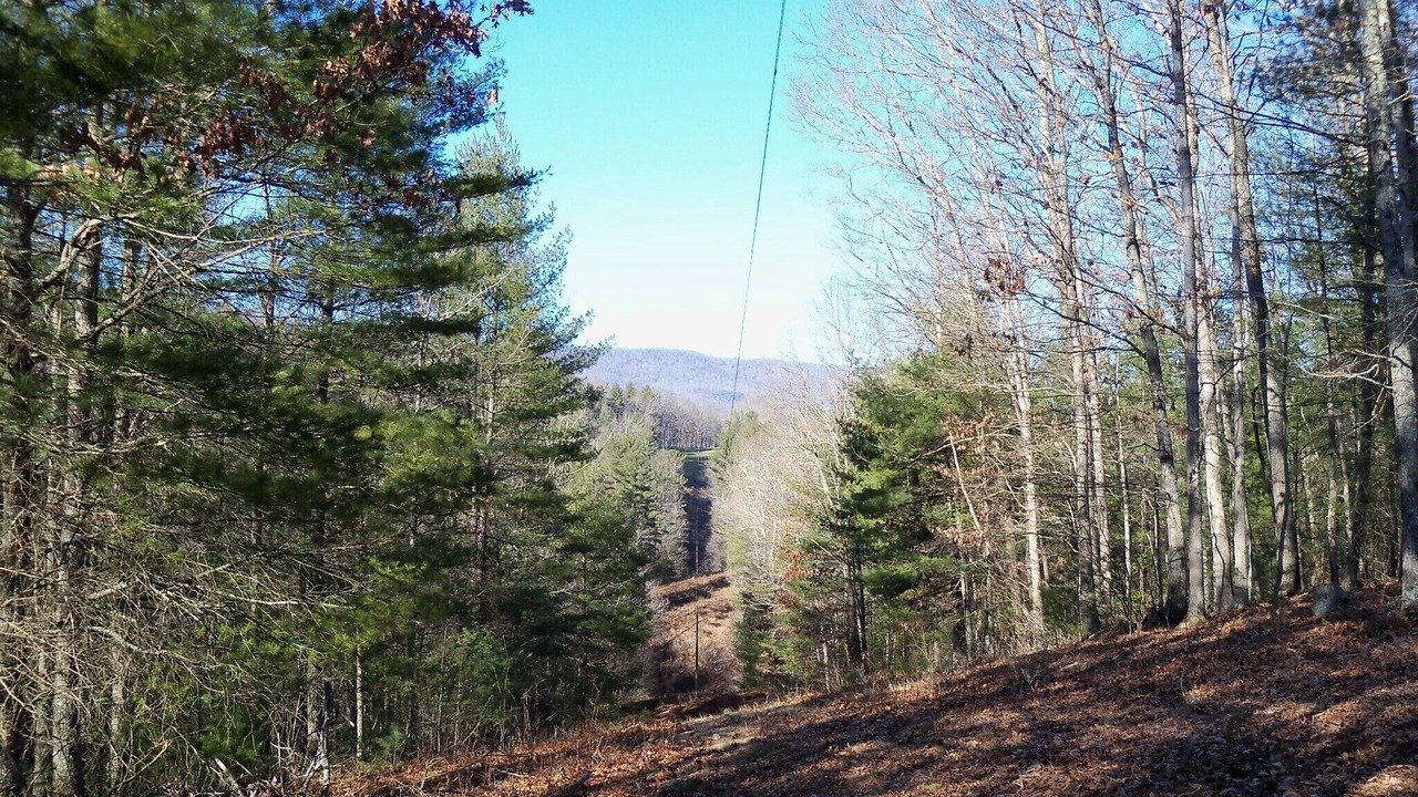 Photo of Outdoor in Warm Springs