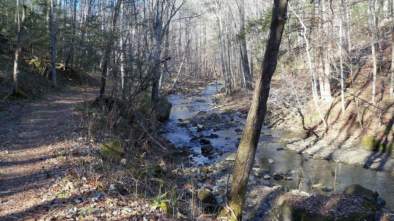 Photo of Outdoor in Warm Springs
