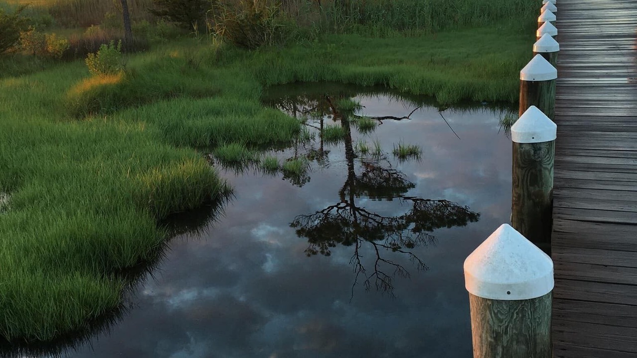 Photo of Others in Assateague Pointe