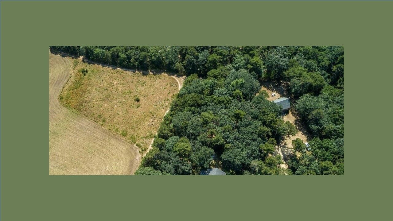 Photo of Others in West Tisbury