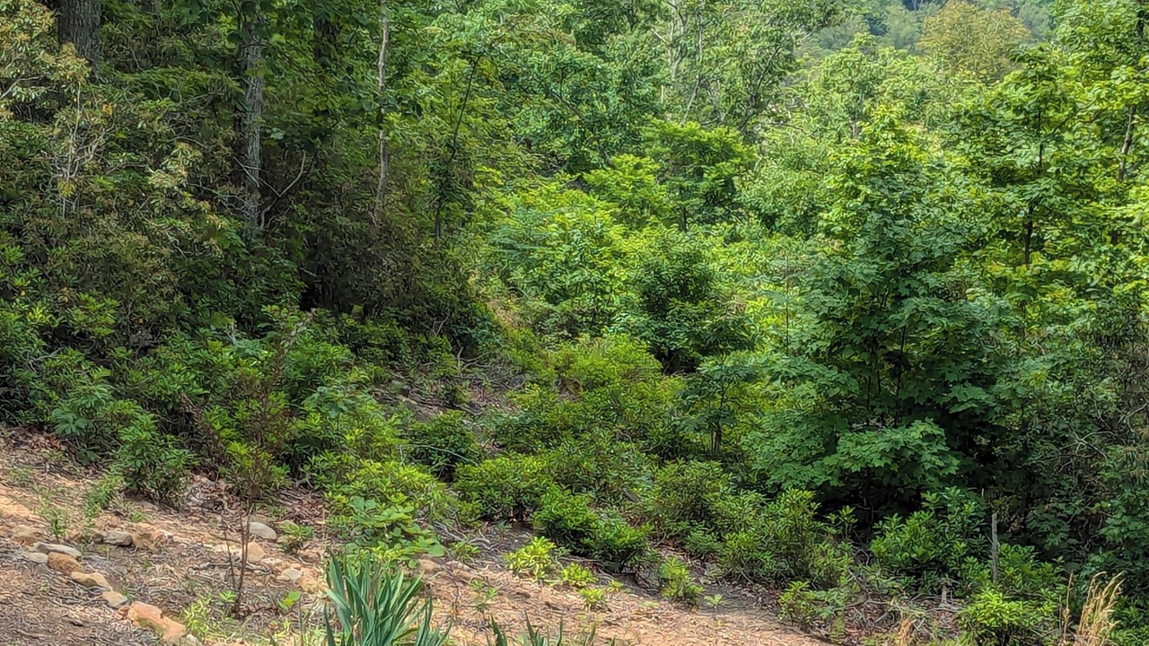 Photo of Outdoor in Schuyler