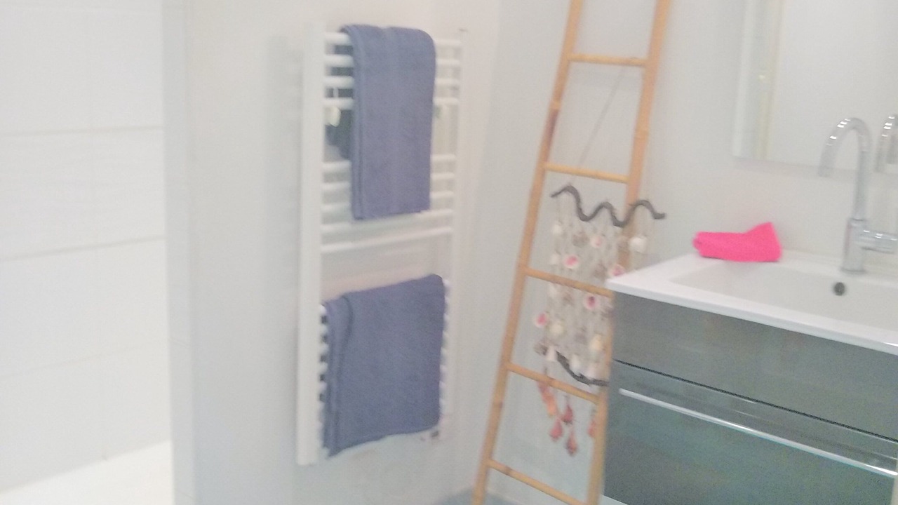 Photo of Bathroom in Port de St Goustan