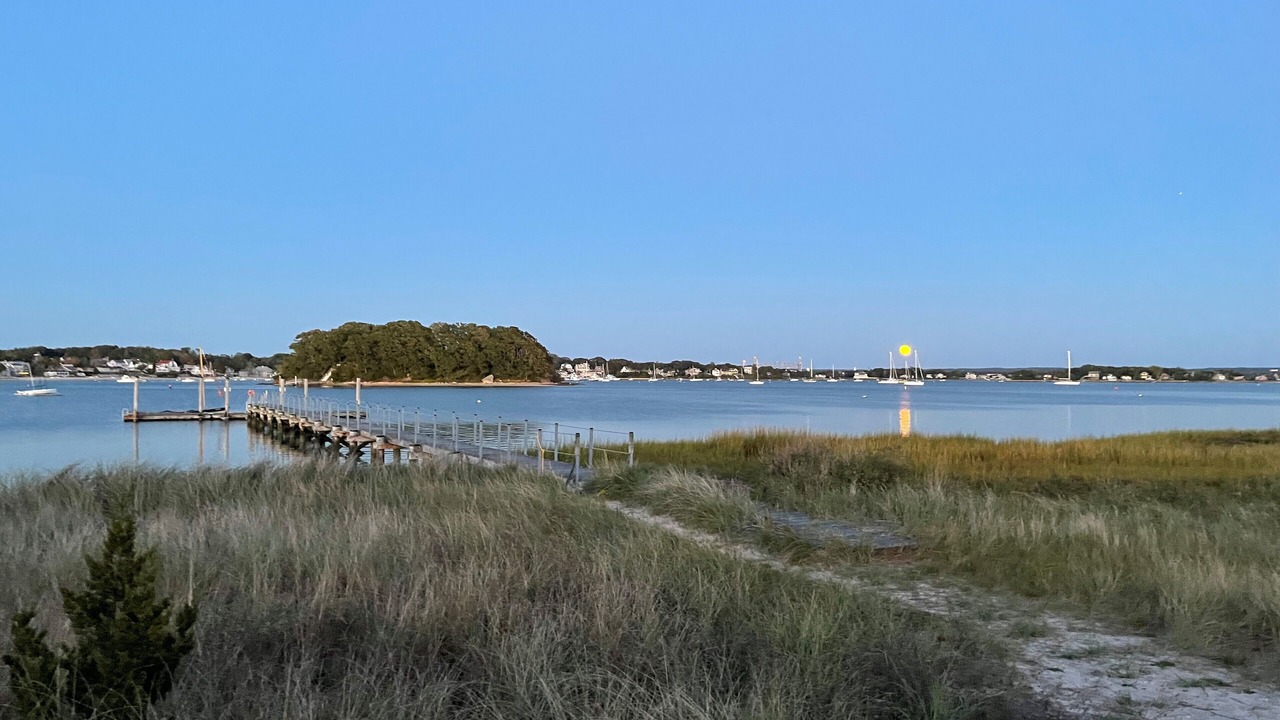 Photo of Others in Wareham