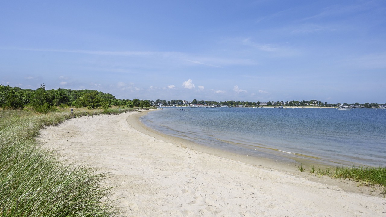 Photo of Others in Wareham