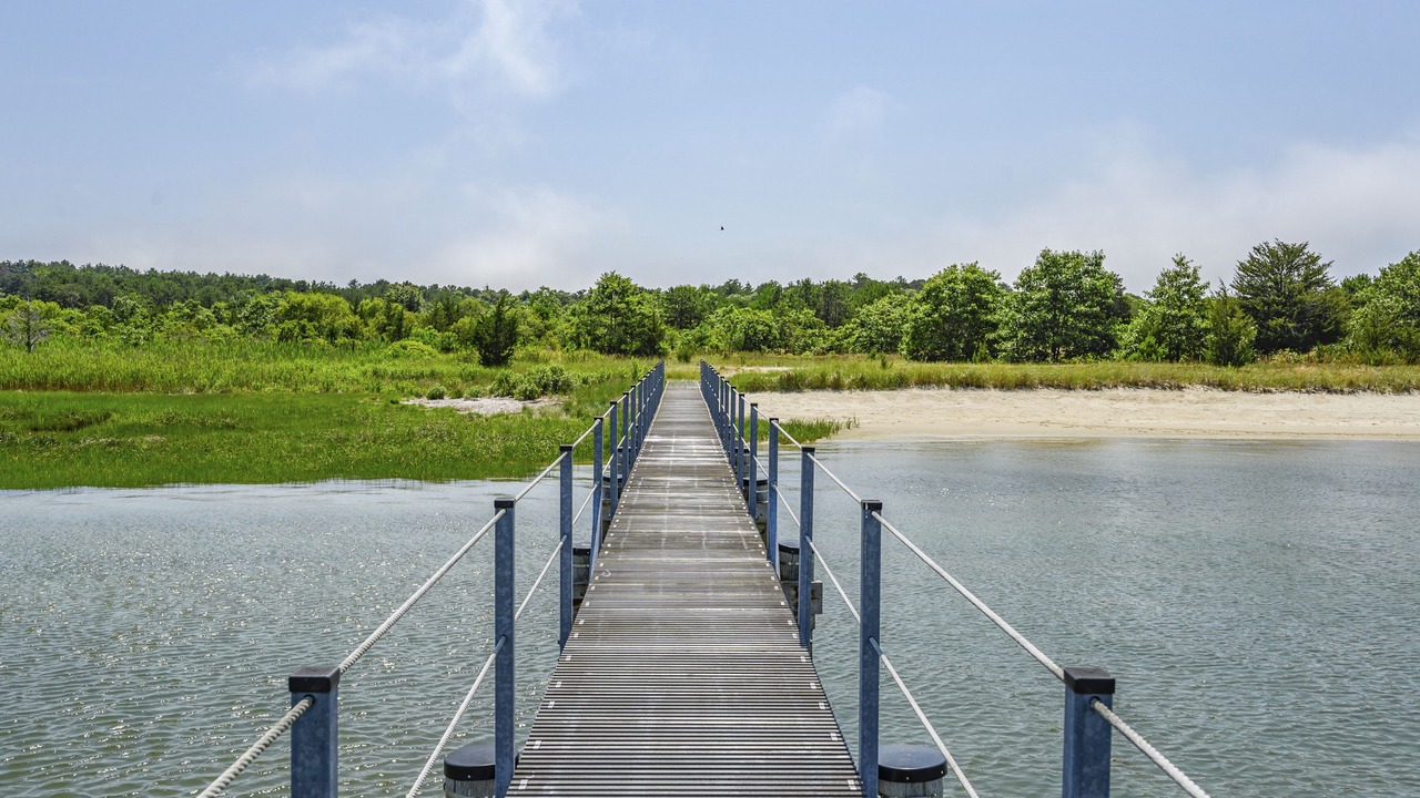 Photo of Outdoor in Wareham