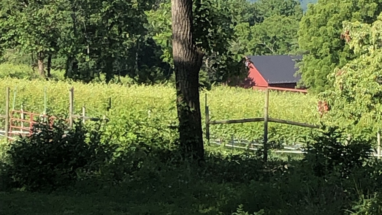 Photo of Outdoor in Blue Ridge