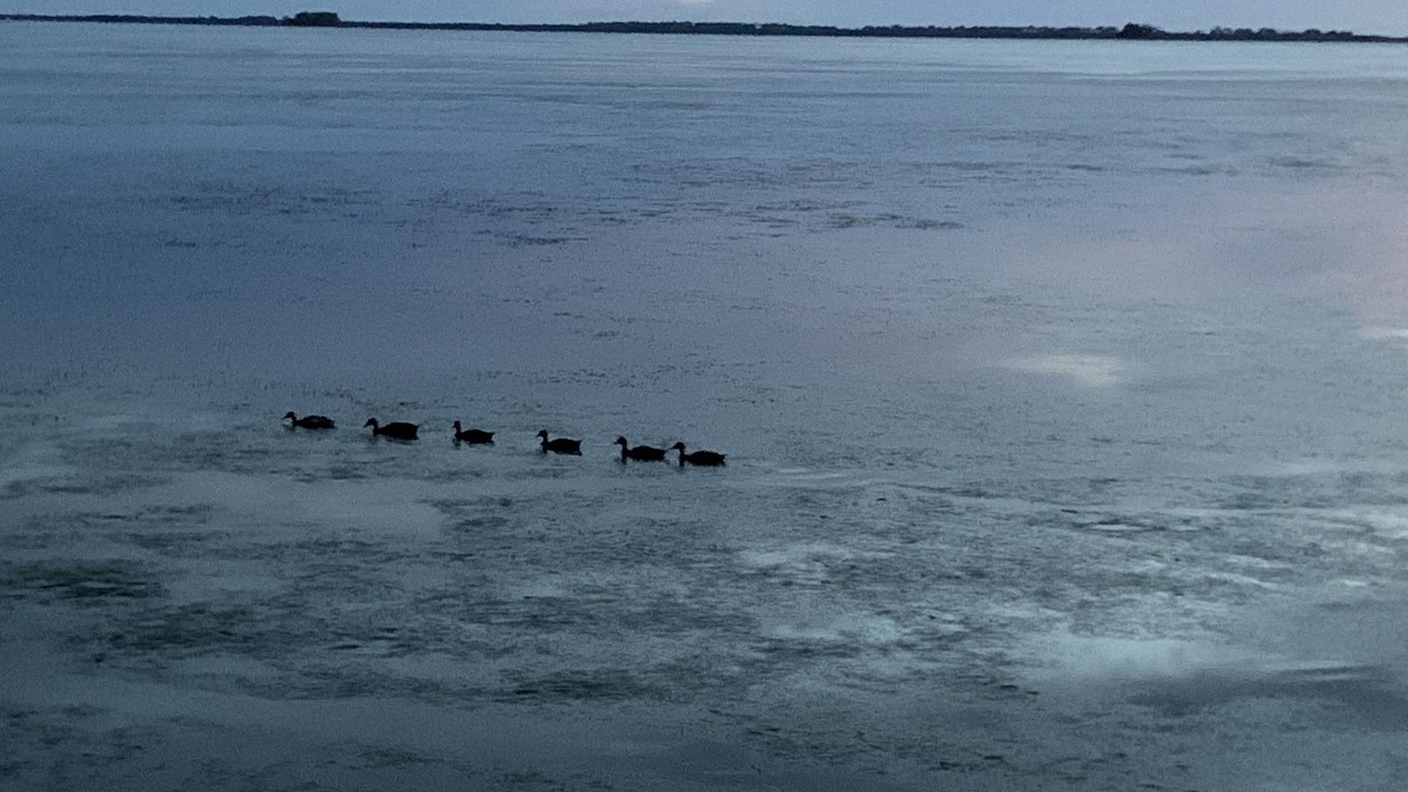 Photo of Others in Crystal Beach