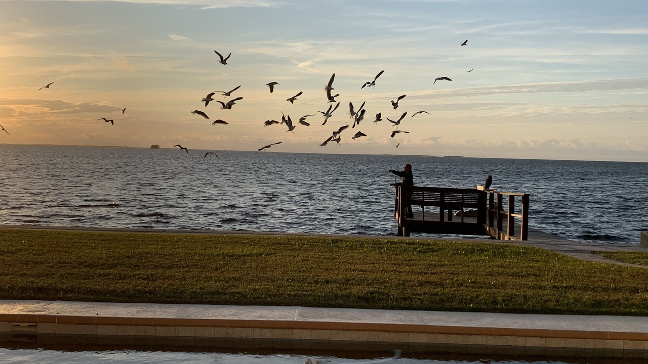 Photo of Others in Crystal Beach