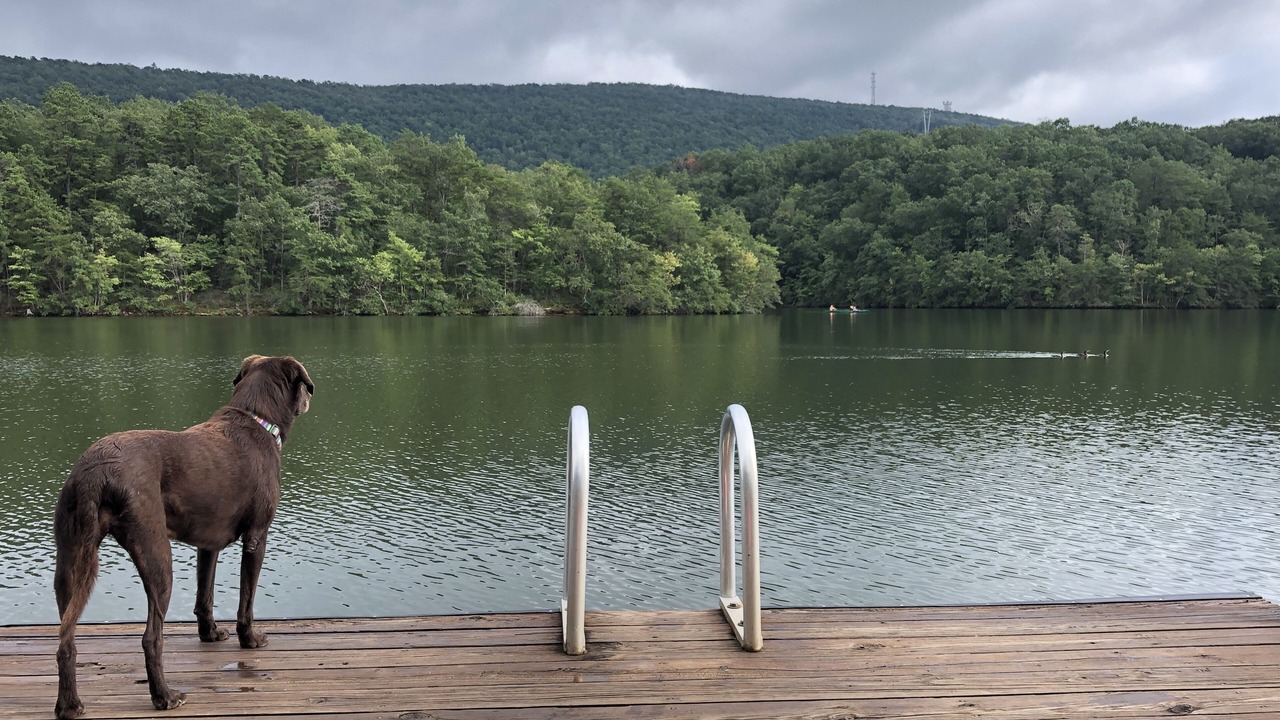 Photo of Outdoor in Huddleston