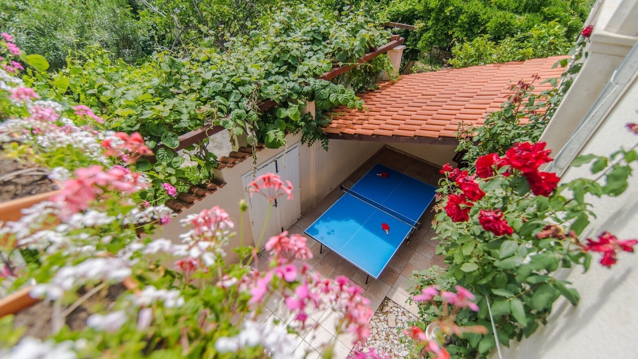 Photo of Outdoor in Mirce