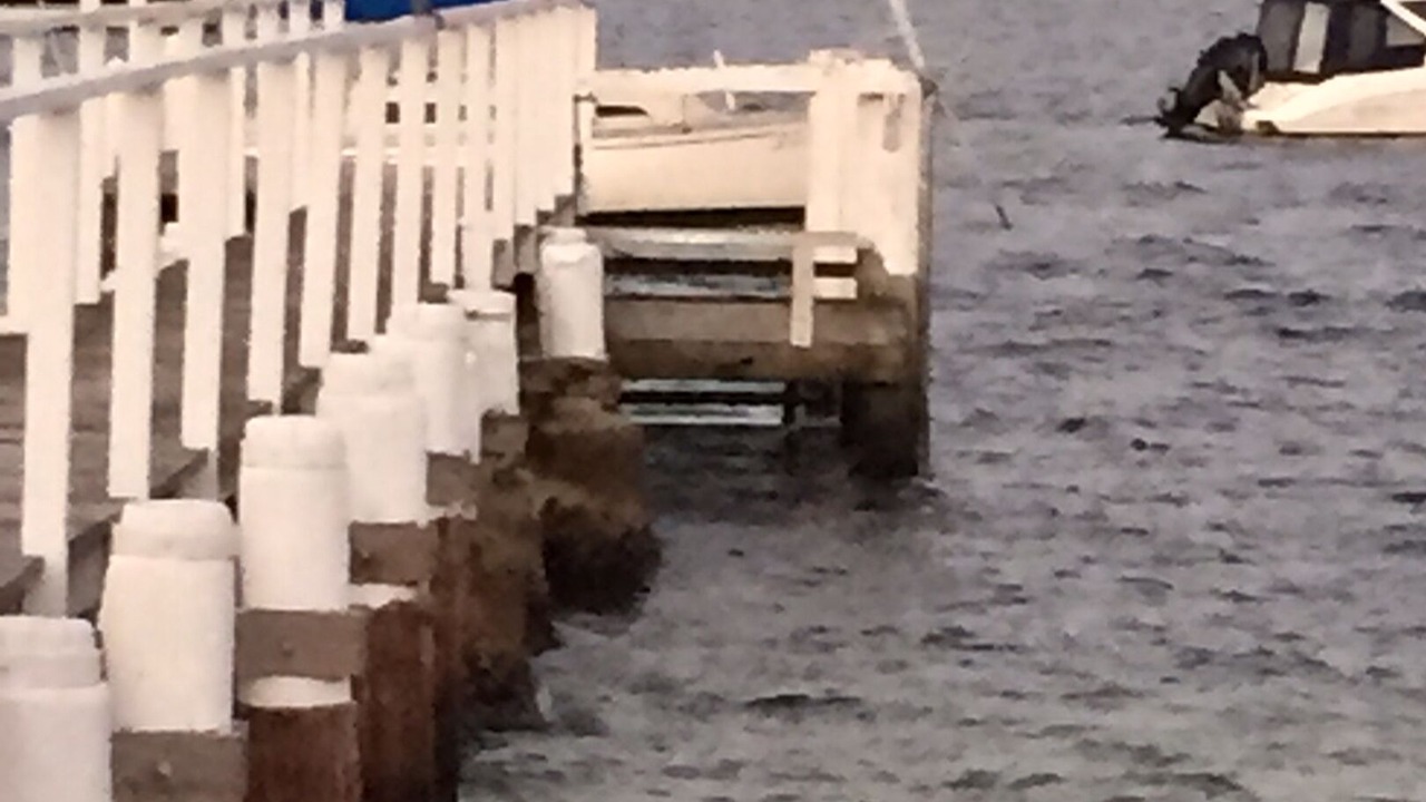 Photo of Others in Mona Vale