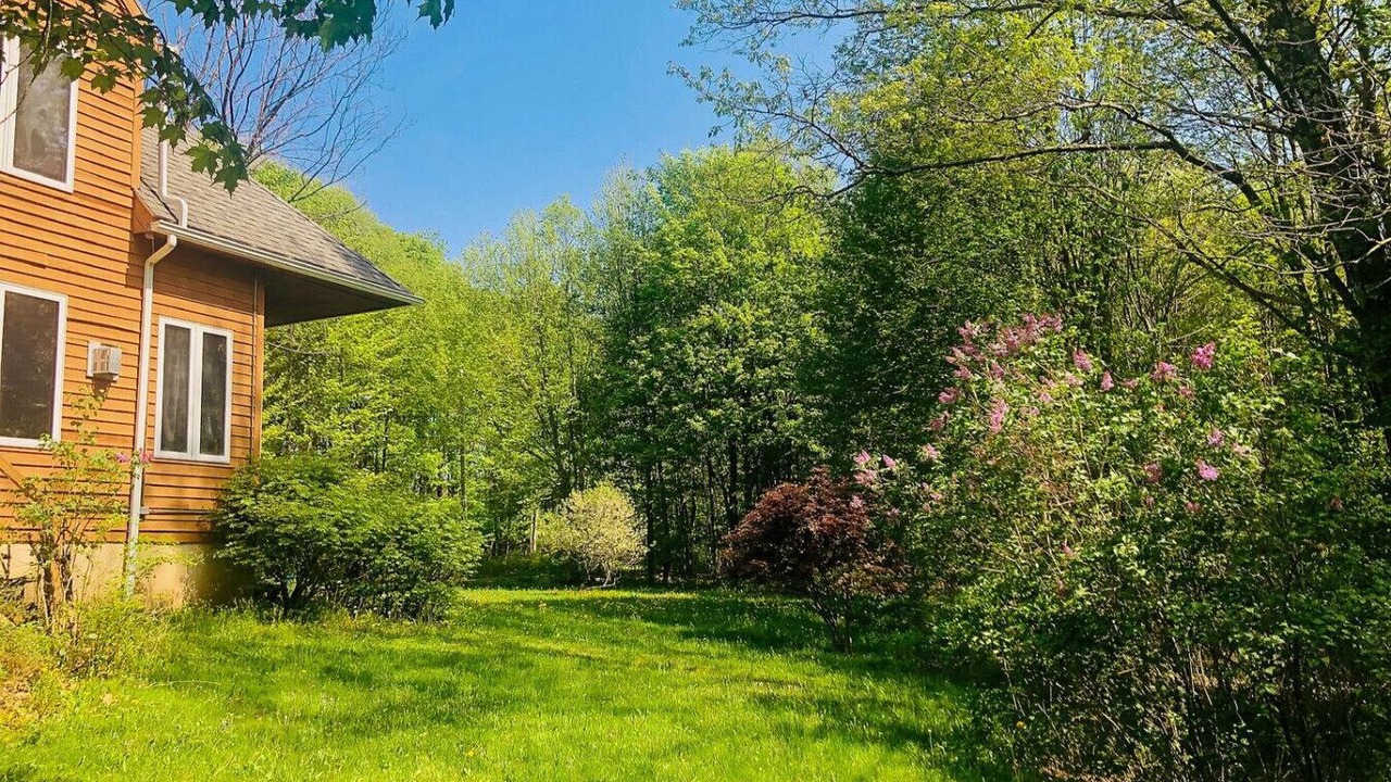 Photo of Outdoor in Bloomville