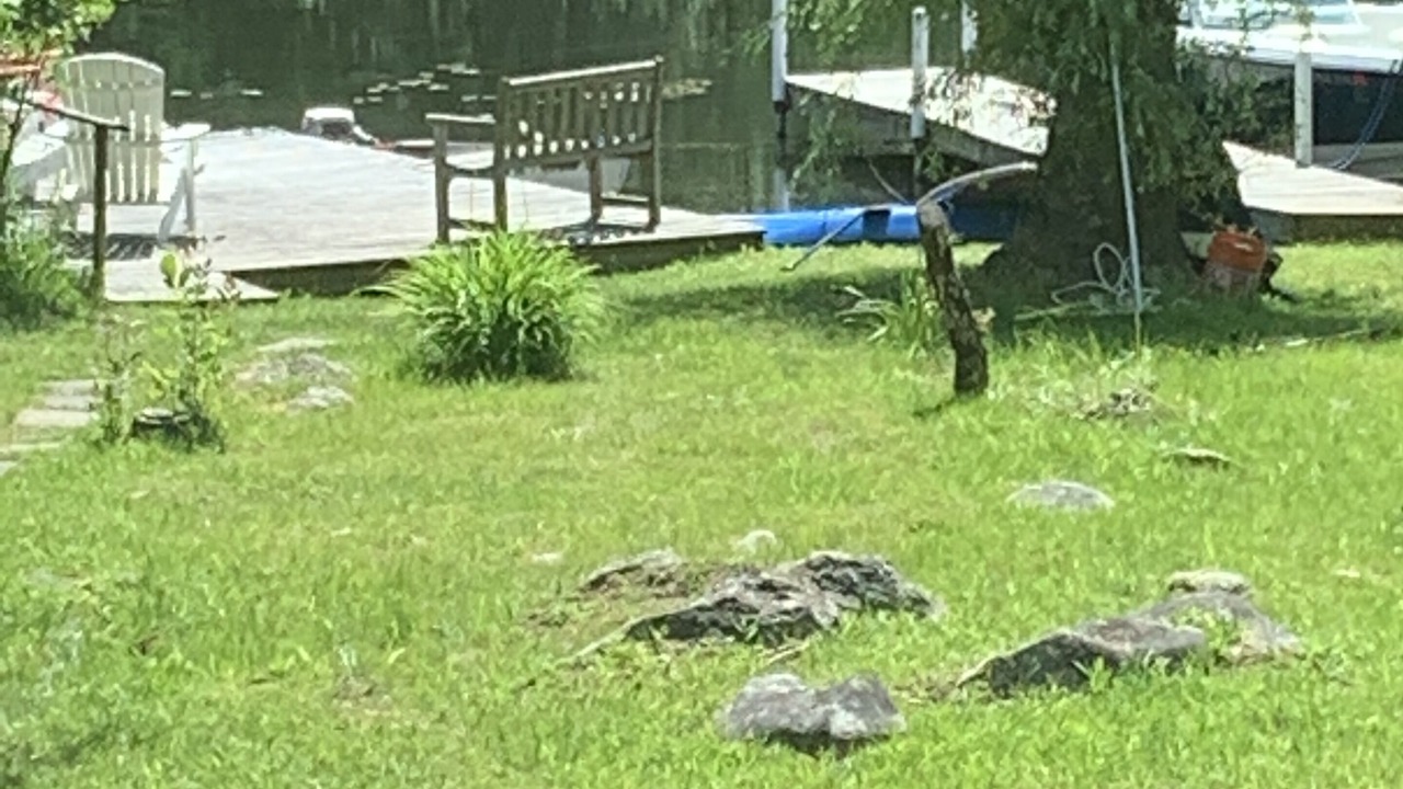 Photo of Outdoor in West Stockbridge