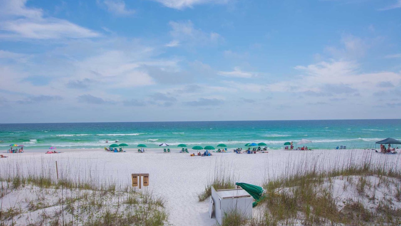 Photo of Others in Avalon Beach Estates