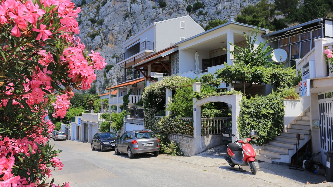 Photo of Outdoor in Borak