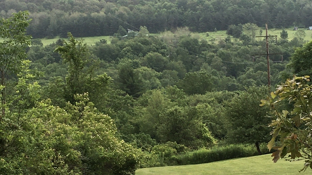Photo of Outdoor in Newfield