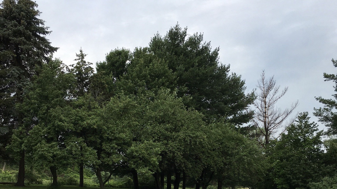 Photo of Outdoor in Newfield
