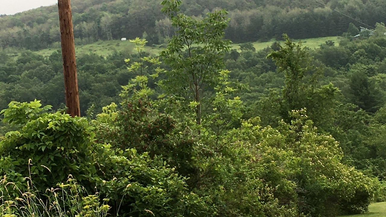 Photo of Others in Newfield