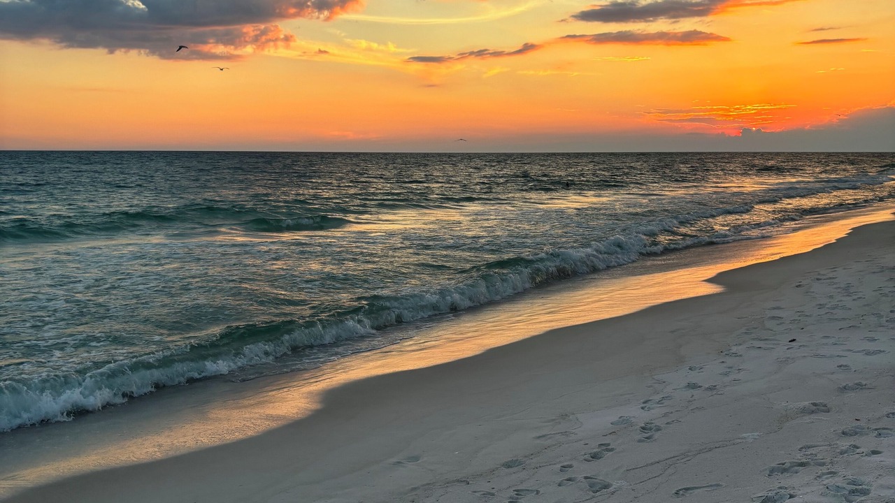 Photo of Others in Riviera Beach