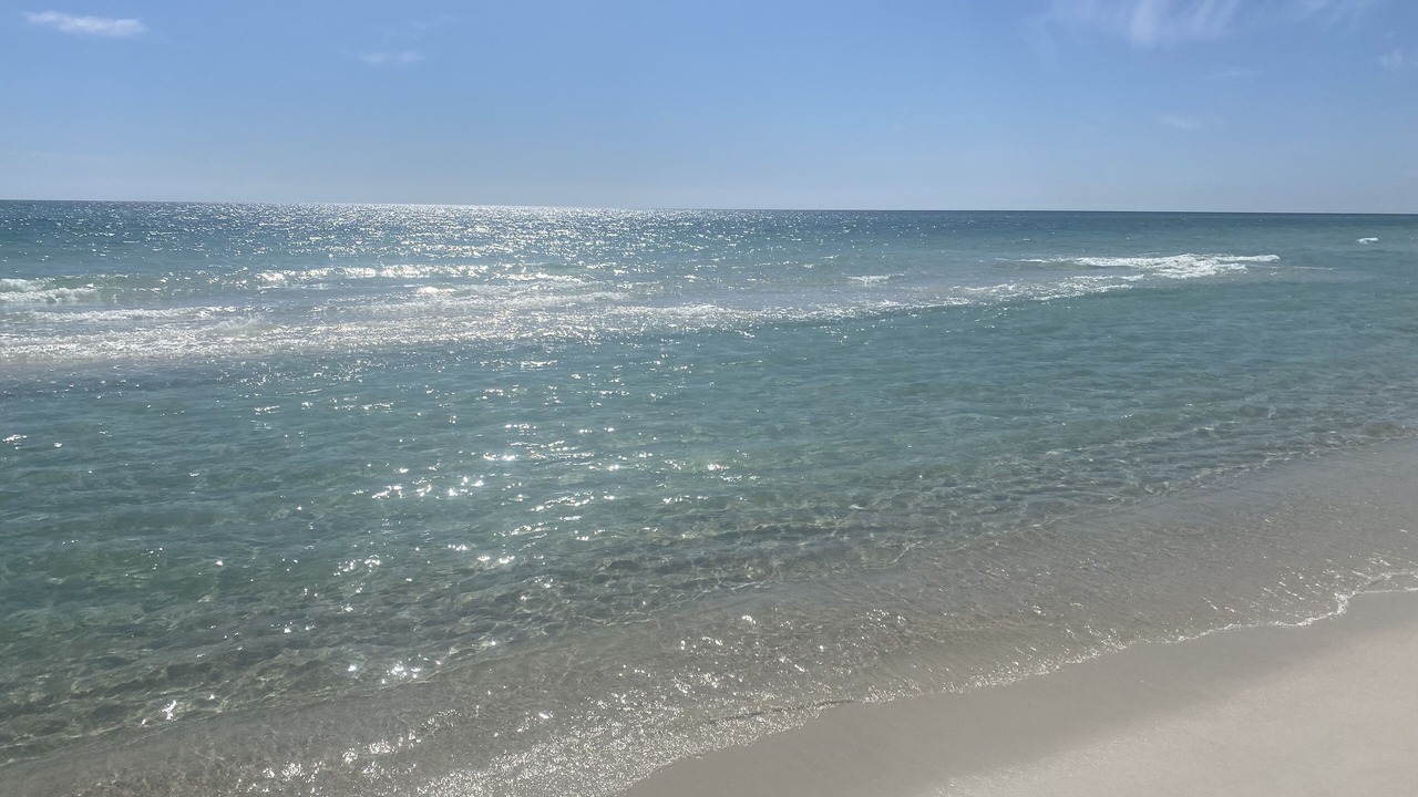 Photo of Others in Riviera Beach