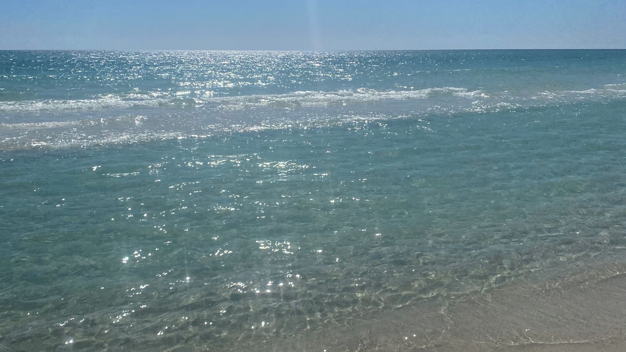Photo of Others in Riviera Beach