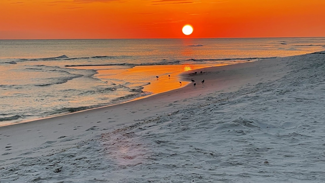 Photo of Others in Riviera Beach
