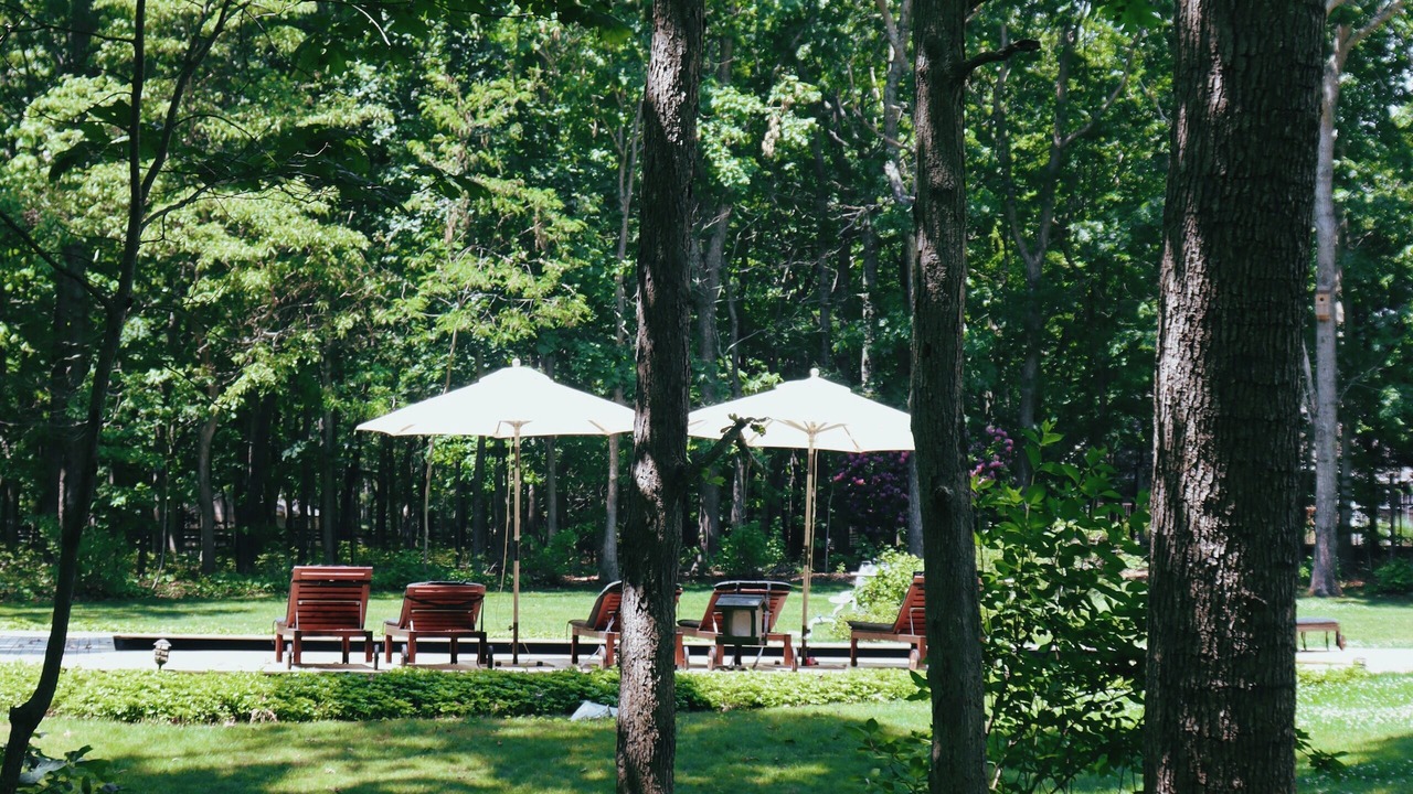 Photo of Outdoor in Water Mill