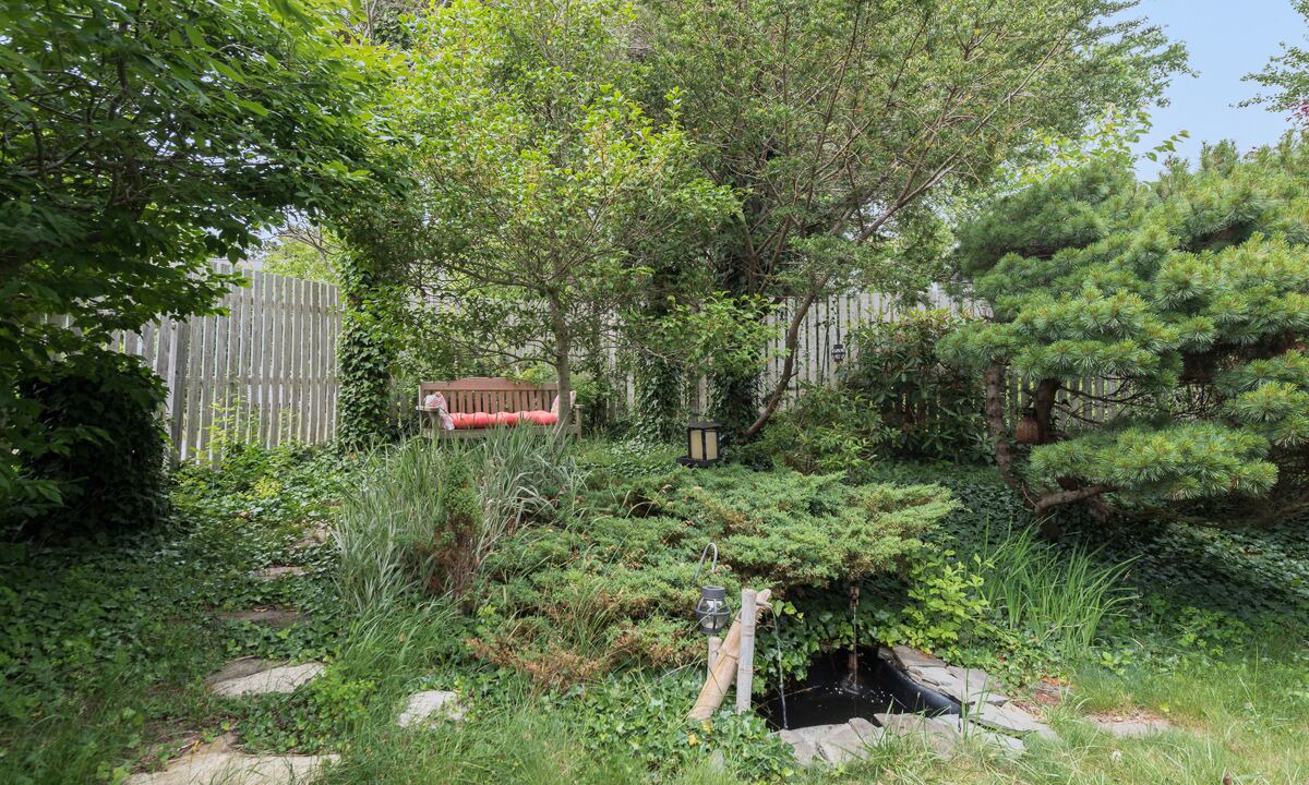 Photo of Outdoor in South Chatham
