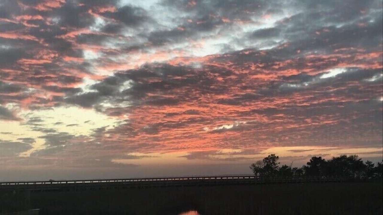 Photo of Others in Crawfordville