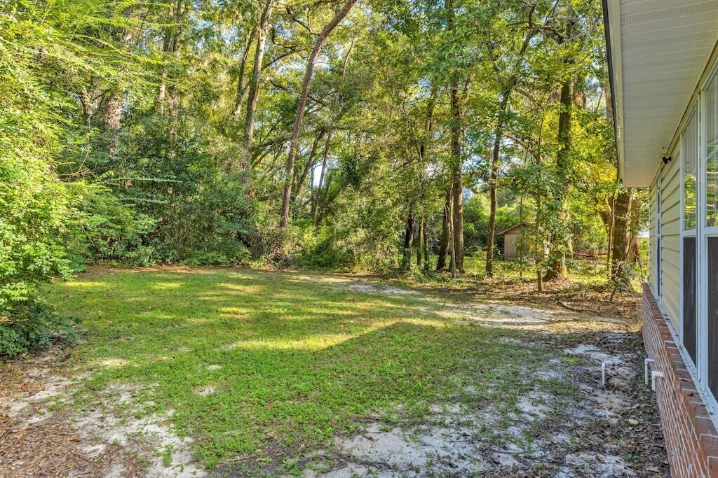 Photo of Outdoor in Tallahassee