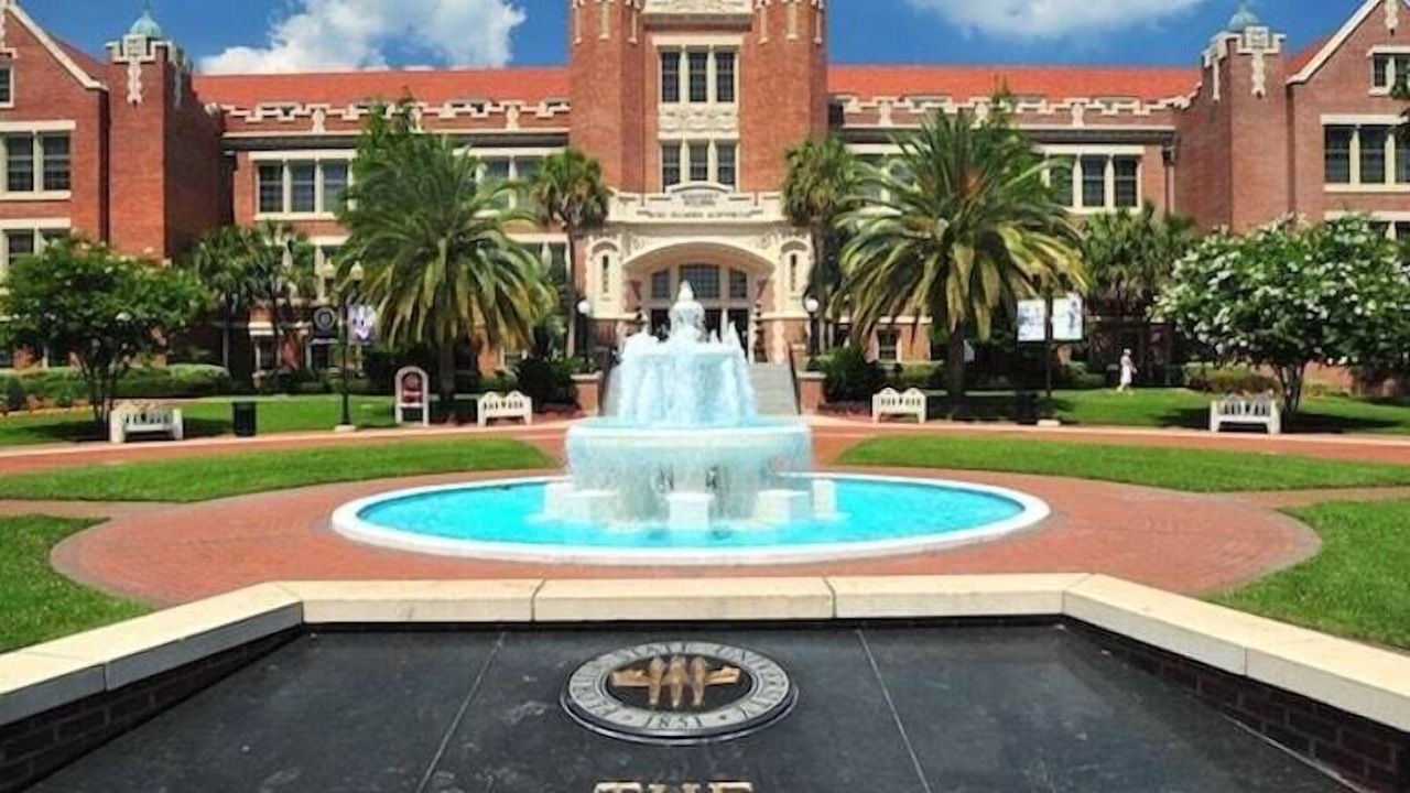 Photo of Others in Tallahassee