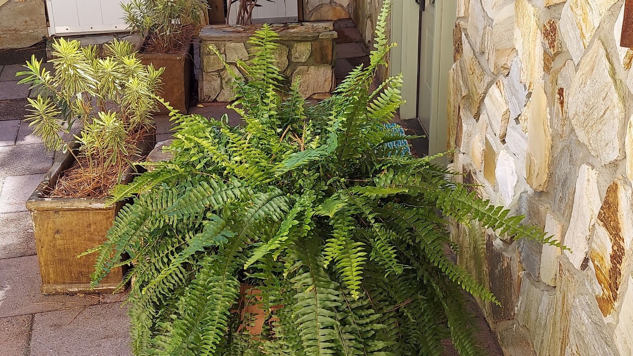 Photo of Outdoor in Caine Woods