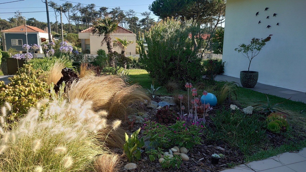 Photo of Outdoor in Esposende