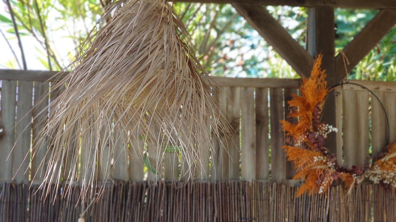 Photo of Outdoor in Esposende