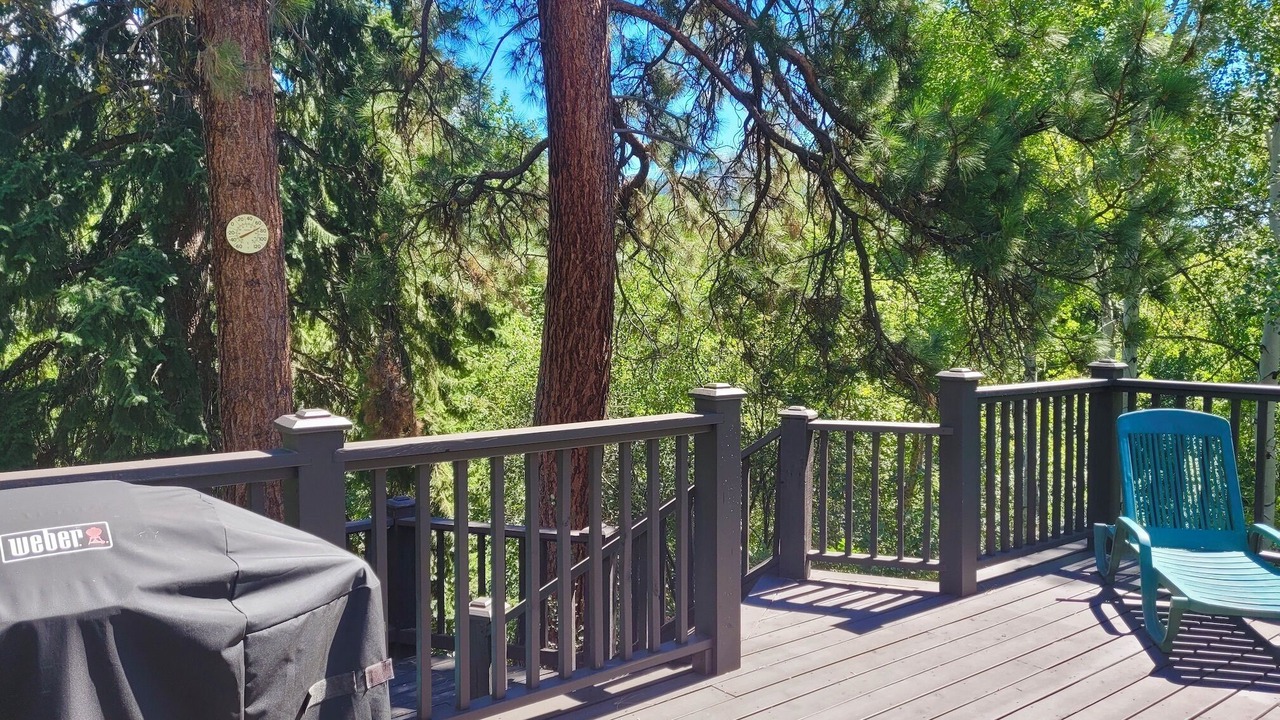 Photo of Patio Balcony in Methow Valley