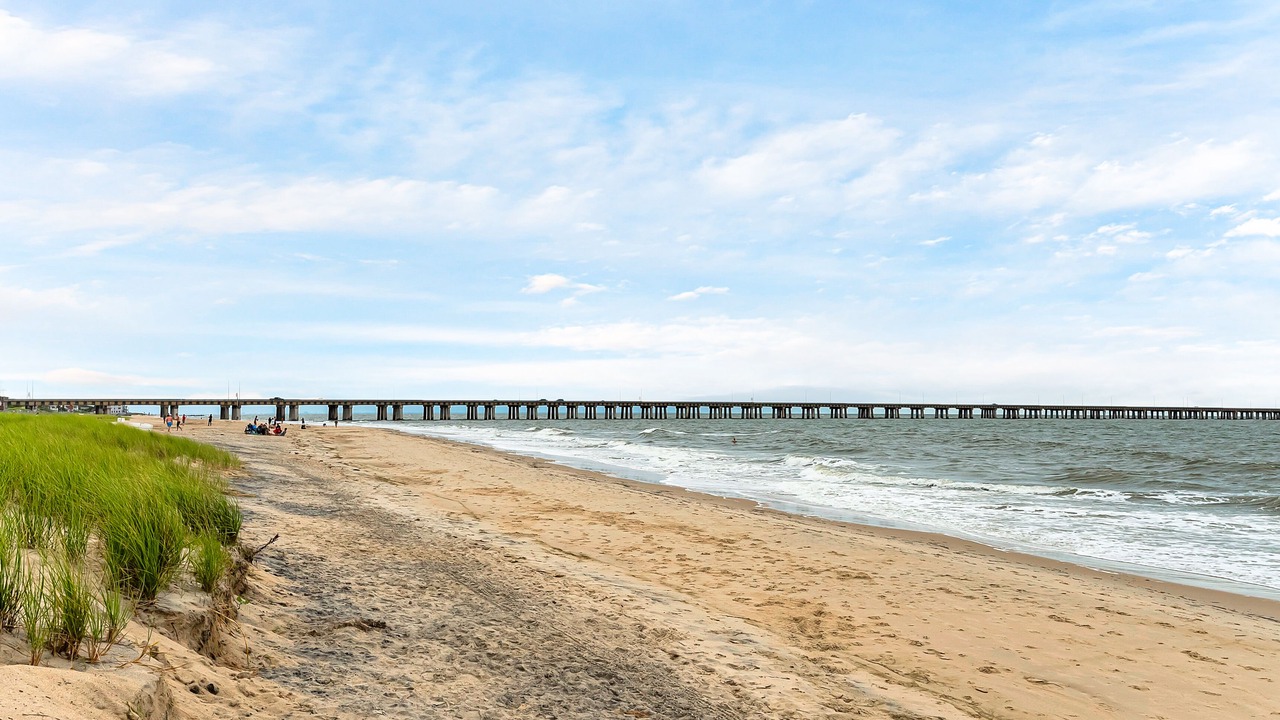Photo of Others in Chic's Beach