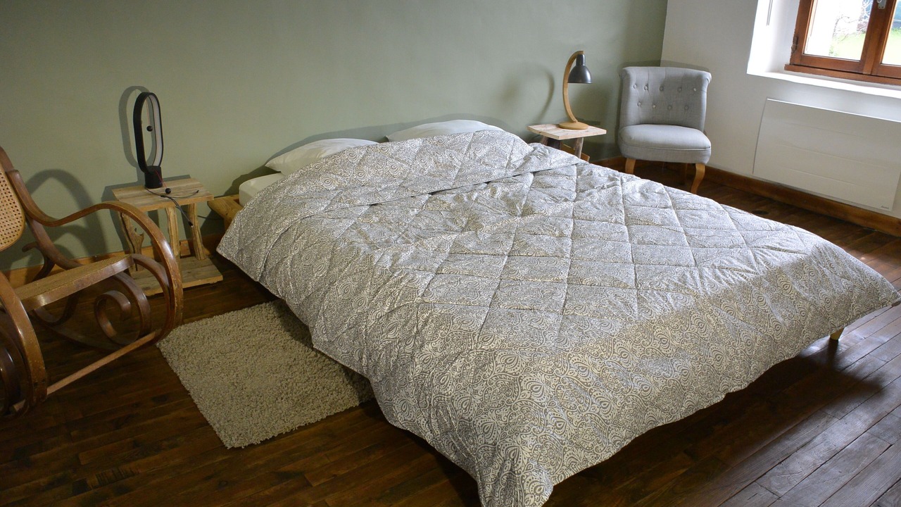 Photo of Bedroom in Mayres-Savel