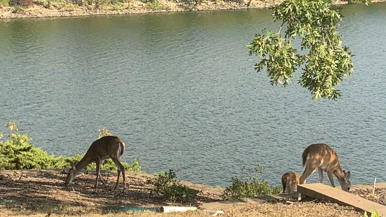 Photo of Others in Clarksville