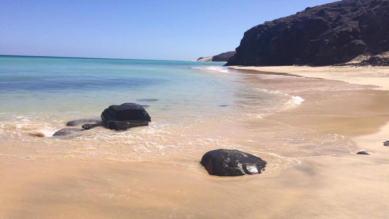 Photo of Others in Bahia Calma