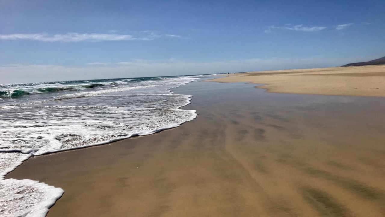 Photo of Others in Bahia Calma