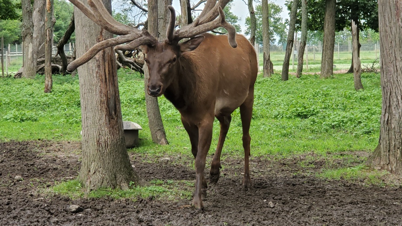 Photo of Outdoor in Leroy