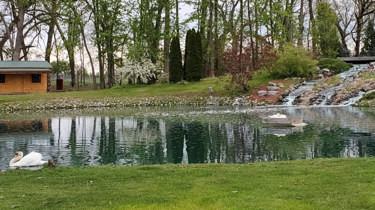 Photo of Outdoor in Leroy
